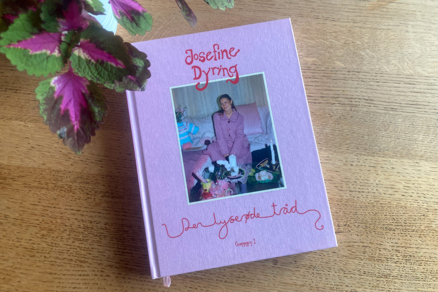 Den lyserøde tråd af Josefine Dyring