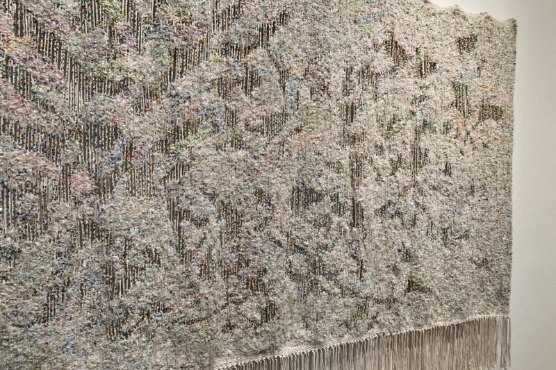 Igshaan Adams -Weerhoud